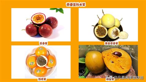 世界十大稀有水果,第一种你可能见都没见过-养花技巧-江苏长景园林