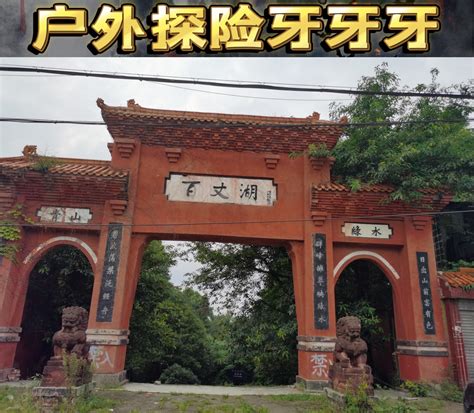 探秘四川雅安废弃度假村，曾经风光一时，如今成了动物的天堂|天堂|度假村|百丈湖_新浪新闻