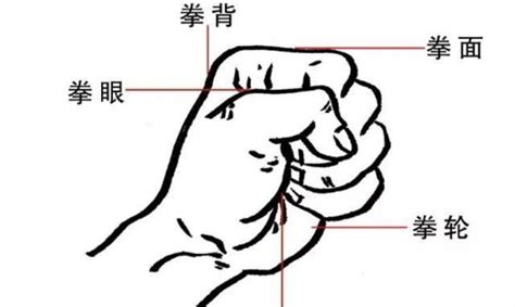 中国武术三种基本手型（拳掌勾）练习要点与示范教学|武术|手型|掌心_新浪新闻
