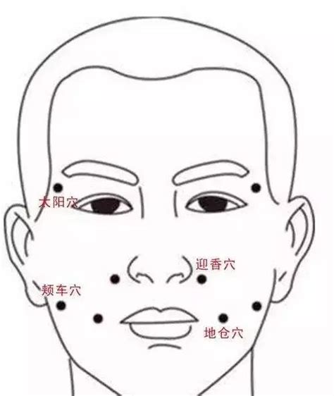 承浆的准确位置图图片 承浆的准确位置图图片