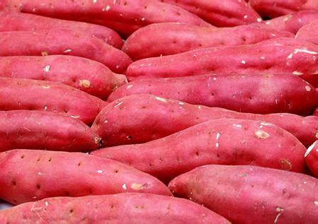 吃红薯有什么好处？红薯的营养价值-360常识网