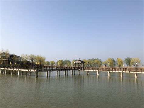 2022高邮湖芦苇荡湿地公园游玩攻略,高邮湖芦苇荡湿地公园位于高...【去哪儿攻略】