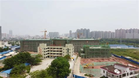 2023年江门市第一实验学校招生动态(附入学意向登记网址)_小升初网