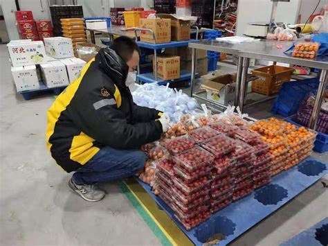 日助销草莓2000斤，苏宁菜场拯救蔬果进行时 - 新智派