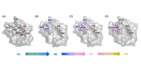 【创新前沿】ACS Catalysis报道我校在酶促不对称还原胺化领域的研究新进展
