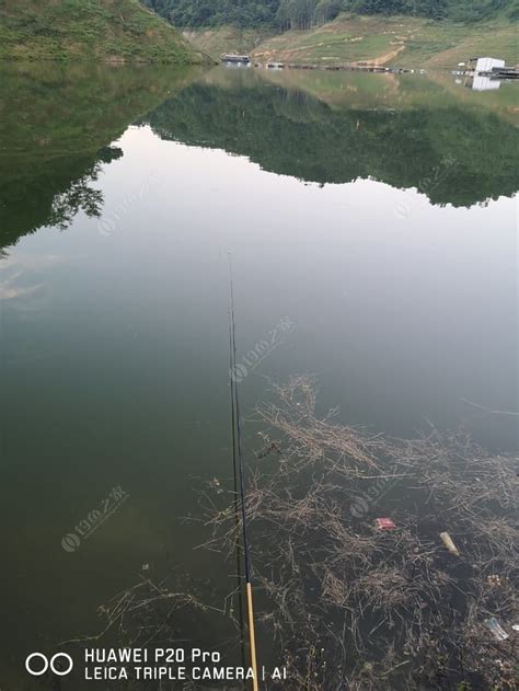 万峰湖船钓_万峰湖船钓地址_万峰湖船钓电话 - 钓鱼之家