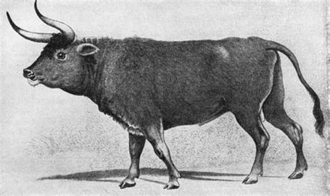 汗牛充栋是指什么动物 - 业百科