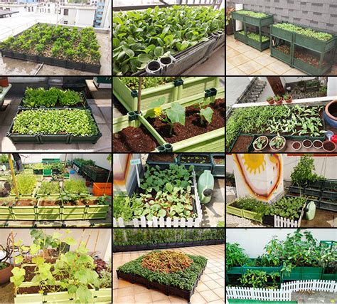 屋顶花园种菜怎么设计规划合理，施工有哪些注意事项和技巧 - 成都青望园林景观设计公司