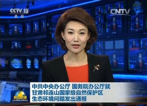 CCTV中央电视台新闻联播片头