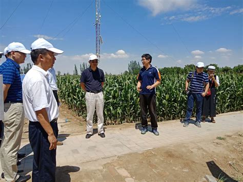 全国农业技术推广服务中心在我省举办玉米品种区试培训和观摩活动
