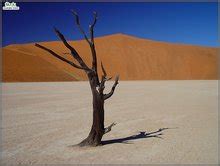 荒无人烟的沙漠岩石沙丘高清图片下载-正版图片600748093-摄图网