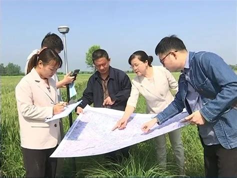 省大豆玉米带状复合种植专家指导组赴天门、钟祥指导播种工作--湖北省农业农村厅