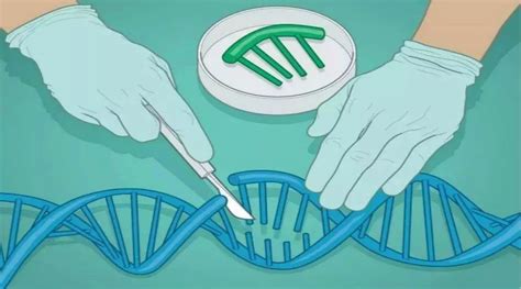 基因编辑疗法迈出历史性一步：CRISPR技术开启首例人类临床试验|界面新闻
