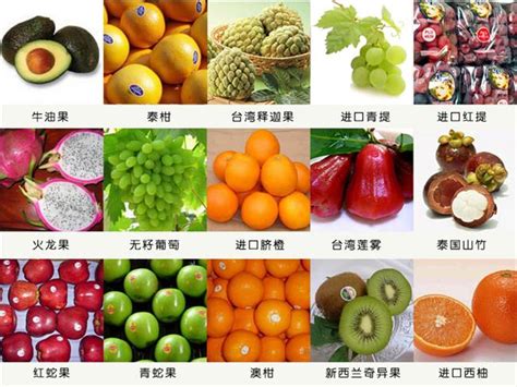 水果的种类有哪些 常见水果种类_第二人生