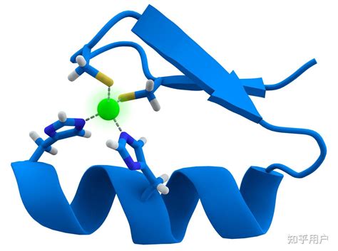 NOD样受体热蛋白结构域相关蛋白3（NLRP3） - 知乎