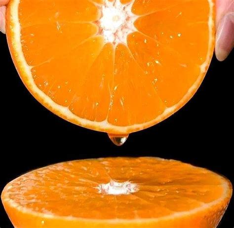 甜橙的原产地在哪？甜橙和苦橙有什么区别? - 惠农网