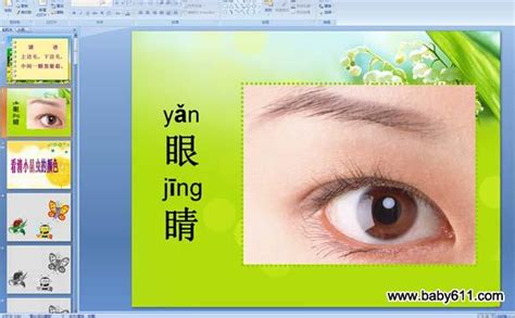 幼儿园大班保护眼睛教案/幼儿园大班健康教案-眼睛的秘密Word模板下载_编号lmdxapny_熊猫办公