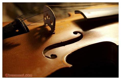 帕格尼尼小提琴 瓜奈利 1743 小提琴『Il Cannone』 | 小提琴作坊