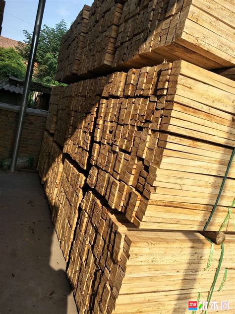 长期杉木批发,杉木出售加工,木--板材原木_产品图片信息_中国木材网！