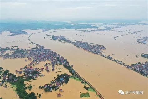 黑水滩河涨水明显 重庆升级发布江河洪水橙色预警