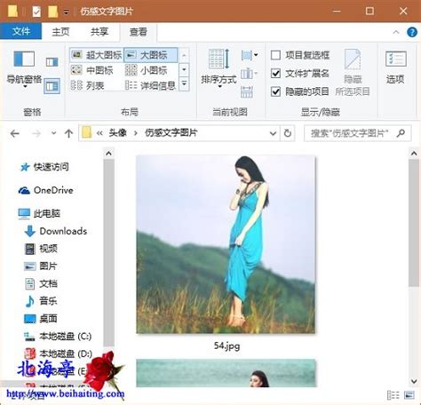 Win10如何调整图片缩略图大小?_北海亭-最简单实用的电脑知识、IT技术学习个人站