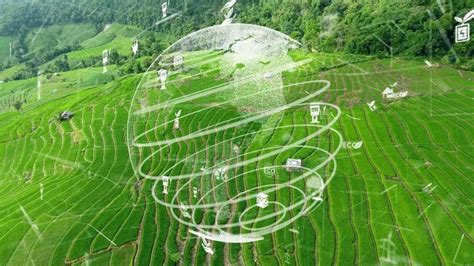 江西绿色农业：互联网助力农业发展，营造崭新业态 - 知乎