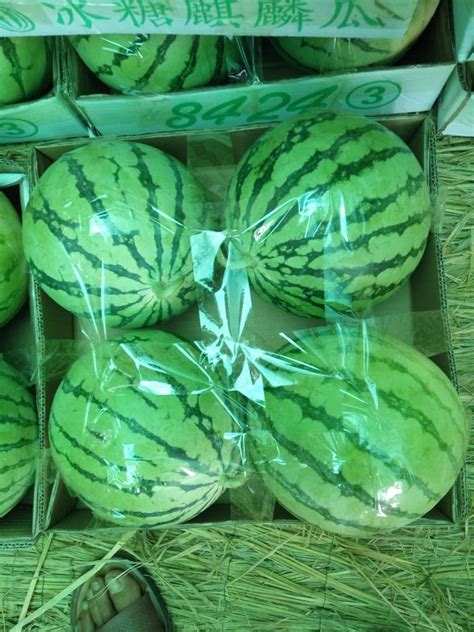 农贸市场的新鲜西瓜高清图片下载-正版图片503284301-摄图网