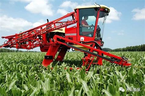 新疆玉米高产栽培技术推广存在的问题及应对措施|玉米|科研|技术推广_新浪新闻