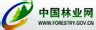 中国龙江森林工业集团有限公司_中国龙江森林工业集团有限公司2021年公开招聘人才公告