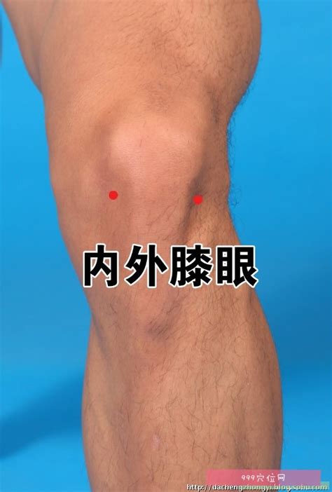膝眼的准确位置图图片 膝眼的准确位置图图片