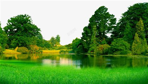 湖水绿草树木绿色风景png图片免费下载-素材msckakma-88ICON
