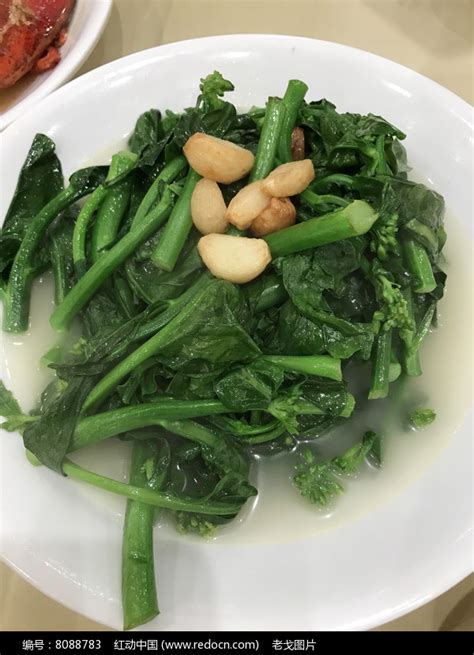榄菜图片