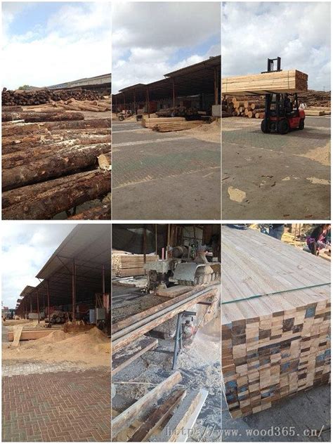杨木板材加工厂-木材加工厂-木材选择知识-专做木材加工厂的木材加工厂公司