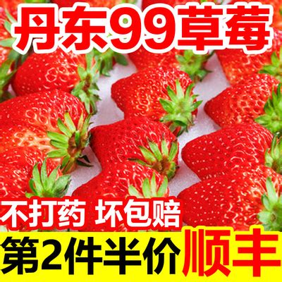冬季丹东红颜草莓大果99草莓奶油新鲜水果牛奶大草莓酸甜礼盒顺丰-淘宝网