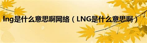 lng是什么意思啊网络（LNG是什么意思啊）_公会界