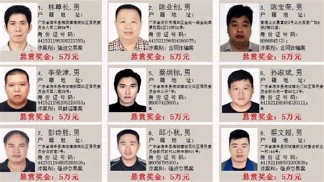 义乌警方公开悬赏通缉10名涉黑涉恶在逃人员-义乌,悬赏-义乌新闻