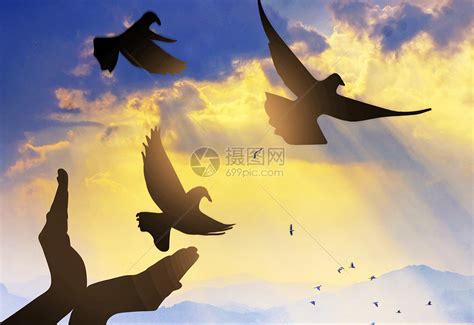 自由,鸟类,自然,女人,概念,背景聚焦,希望,祈祷,日落,享乐摄影素材,汇图网www.huitu.com
