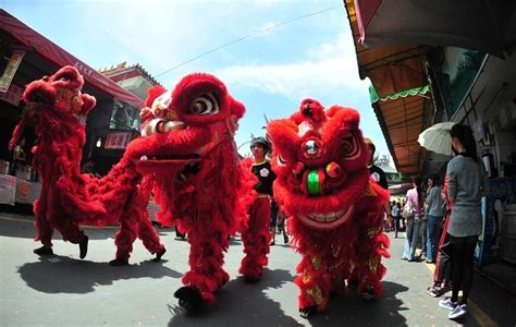 中国的舞狮文化：南狮和北狮有什么区别？每一只狮子里面都有灵魂_徐水