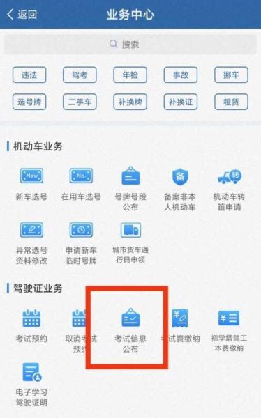 武汉中考2022成绩可以用手机查吗？