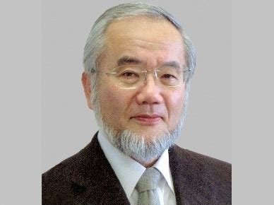 科学网—日本科学家大隅良典获2016年诺贝尔生理学或医学奖 - 刘进平的博文