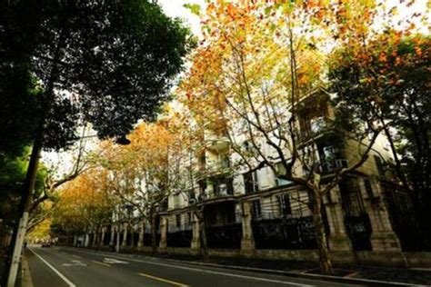 【秋天的上海街景摄影图片】上海武康路风光摄影_太平洋电脑网摄影部落