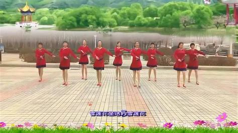 河南华姐广场舞《雪莲花》原创三步踩附教学_腾讯视频