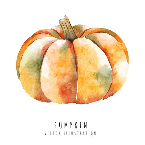 Pumpkin hand drawn watercolor painting isolated on white background ...