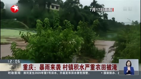 山西稷山：农民水淹地里抢收玉米-人民图片网