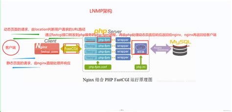 LNMP网站框架搭建（yum方式安装）_yum lnmp-CSDN博客