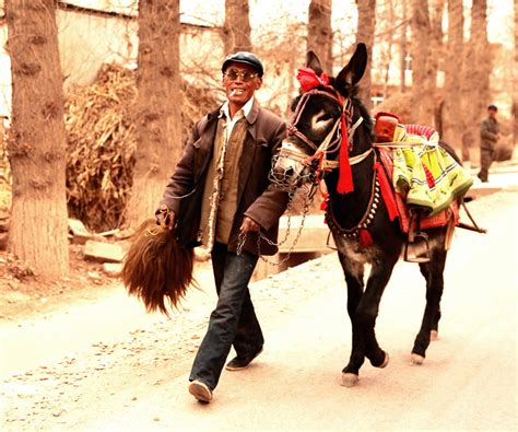 zxz0877摄影作品 西北汉子和他的驴