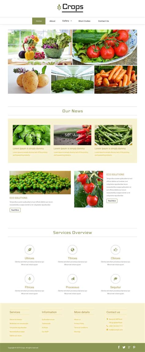 水果蔬菜农产品展示网站模板-17素材网