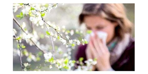 人为什么会花粉过敏 让人过敏的花都是哪些花 | 冷饭网