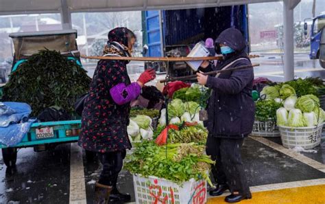 安徽铜陵：江心洲绿色蔬菜飘香-人民图片网
