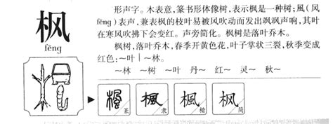 枫字,书法字体,字体设计,设计模板,汇图网www.huitu.com